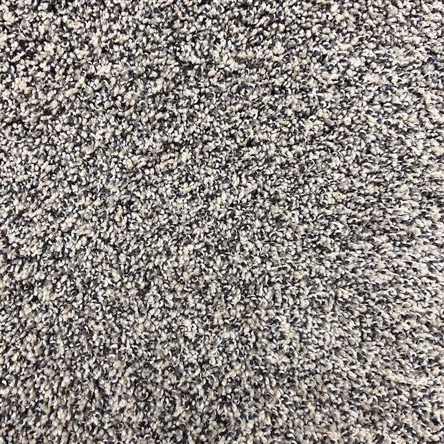 carpet5 STAINMASTER PetProtect Apollo Blue Twilight Textured Indoor Carpet